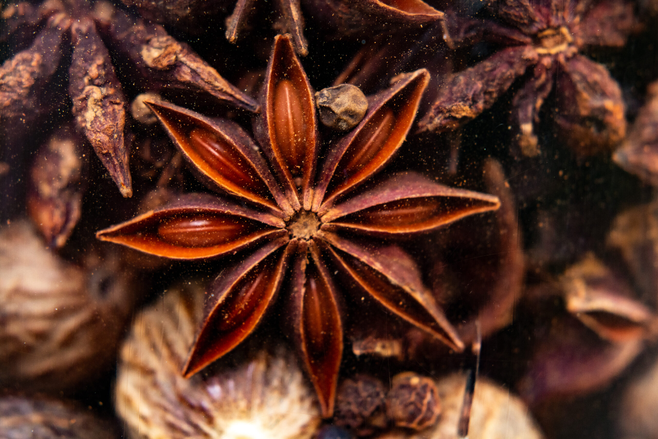 Étoile d'anis sur fond épicé.